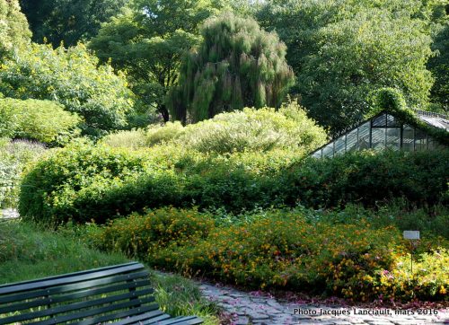 Jardín Botánico Carlos Thays, quartier Palermo, Buenos Aires, Argentine