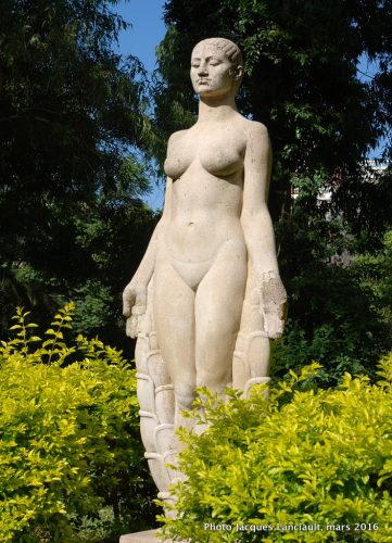 Flor Indígena, Jardín Botánico Carlos Thays, quartier Palermo, Buenos Aires, Argentine