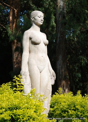 Flor Indígena, Jardín Botánico Carlos Thays, quartier Palermo, Buenos Aires, Argentine