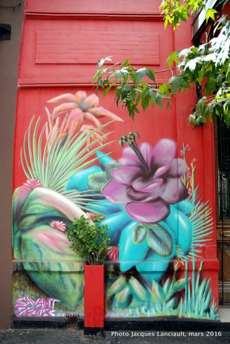 Quartier Palermo Viejo, Buenos Aires, Argentine