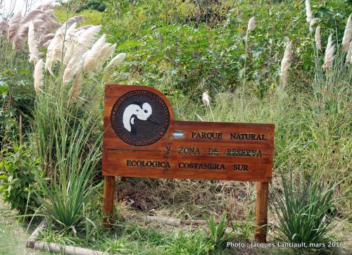 Reserva Ecológica Costanera Sur, Buenos Aires, Argentine