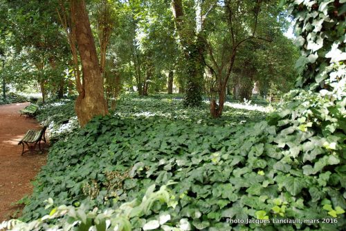 Jardín Botánico Carlos Thays, quartier Palermo, Buenos Aires, Argentine