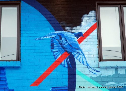 Fenêtres sur le quartier Ahuntsic, Montréal, Québec
