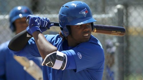 Vladimir Guerrero jr.
