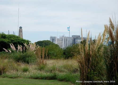 Reserva Ecológica Costanera Sur, Buenos Aires, Argentine