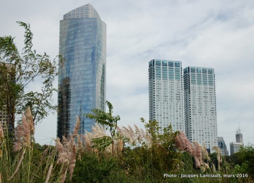Reserva Ecológica Costanera Sur, Buenos Aires, Argentine