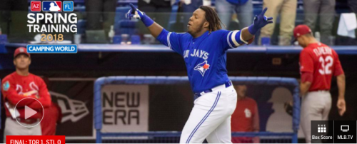 Vladimir Guerrero jr