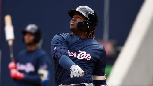 Vladimir Guerrero jr