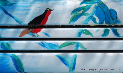 Banc bleu pour aux oiseaux rouges, Montréal, Québec