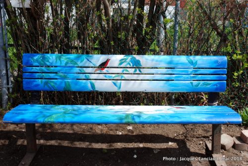 Banc bleu pour aux oiseaux rouges, Montréal, Québec