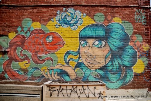 Souris-moi, petit poisson, MC Baldassari, Montréal, Québec