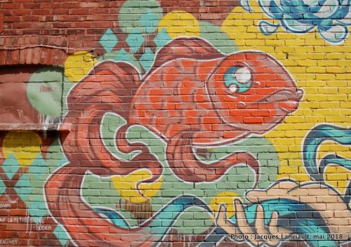 Souris-moi, petit poisson, MC Baldassari, Montréal, Québec