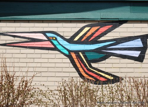 Diálogo, Mono Gonzalez, Montréal, Québec