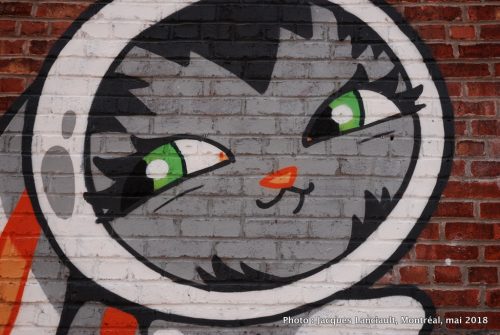Bunny Kitty, Persue, Montréal, Québec