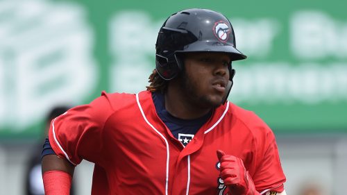 Vladimir Guerrero jr