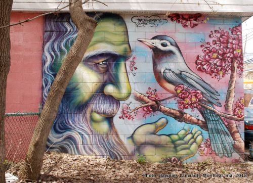 Le vieillard et l’oiseau, Shalak et Smoky, Montréal, Québec
