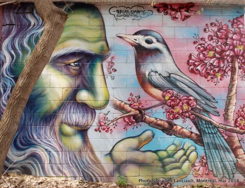 Le vieillard et l’oiseau, Shalak et Smoky, Montréal, Québec
