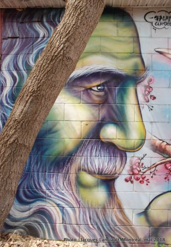 Le vieillard et l’oiseau, Shalak et Smoky, Montréal, Québec