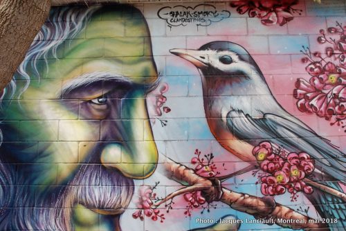 Le vieillard et l’oiseau, Shalak et Smoky, Montréal, Québec