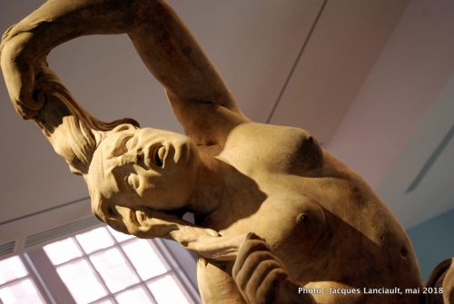 Frenzy, Rijksmuseum, Amsterdam, Pays-Bas