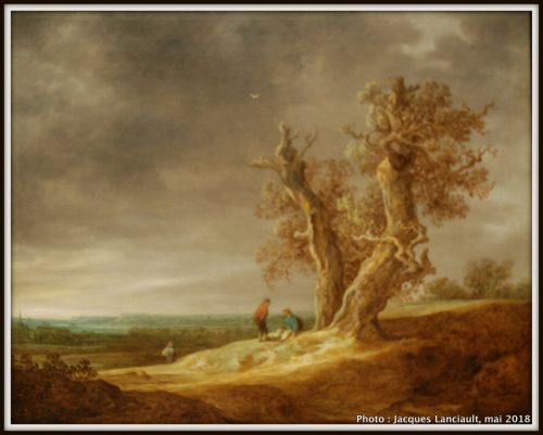 Paysage avec deux chênes, Rijksmuseum, Amsterdam, Pays-Bas