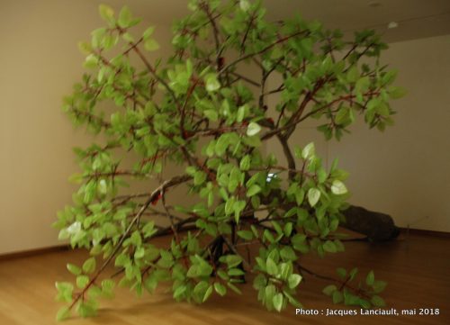 L'arbre de Ténéré, Stedelijkmuseum, Amsterdam, Pays-Bas