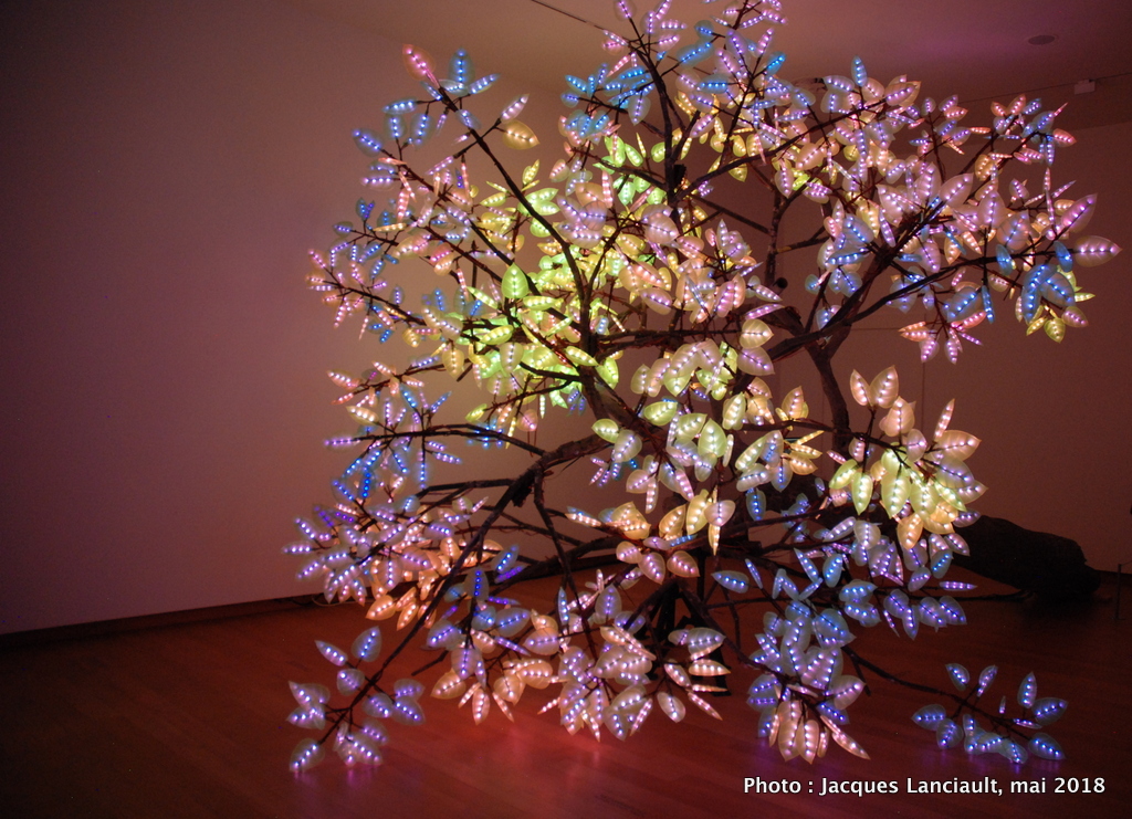 Le Stedelijkmuseum : œuvres de grands maîtres et installations spectaculaires! (2e partie)