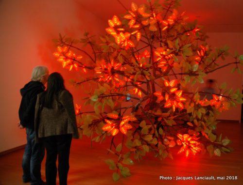 L'arbre de Ténéré, Stedelijkmuseum, Amsterdam, Pays-Bas
