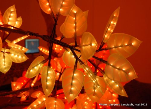 L'arbre de Ténéré, Stedelijkmuseum, Amsterdam, Pays-Bas