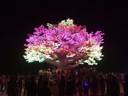 Arbre de Ténéré », Black Rock City, Nevada, États-Unis