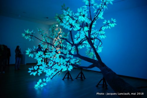 L'arbre de Ténéré, Stedelijkmuseum, Amsterdam, Pays-Bas