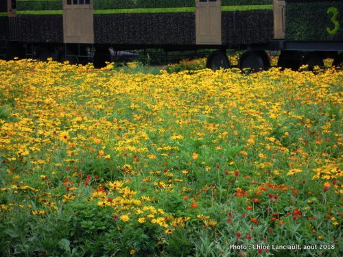 Mosaïcultures Gatineau 2018