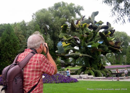 Mosaïcultures Gatineau 2018