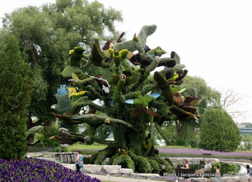 Mosaïcultures Gatineau 2018, Gatineau, Québec