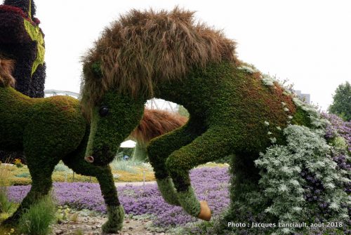Mosaïcultures Gatineau 2018, Gatineau, Québec