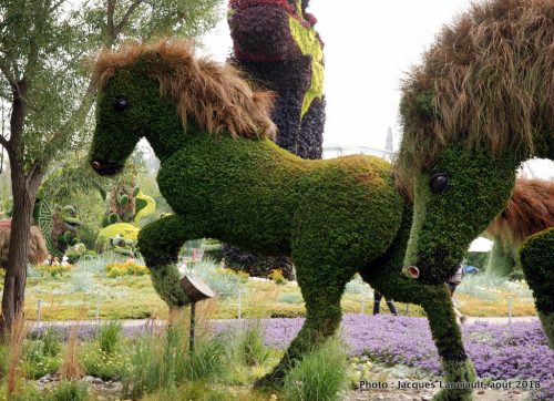 Mosaïcultures Gatineau 2018, Gatineau, Québec