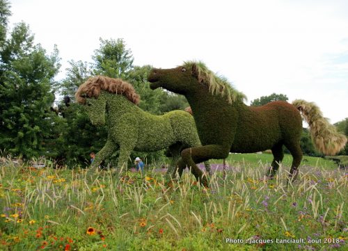 Mosaïcultures Gatineau 2018, Gatineau, Québec