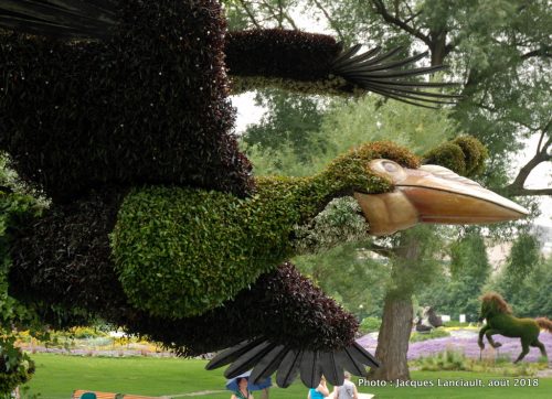 Mosaïcultures Gatineau 2018, Gatineau, Québec