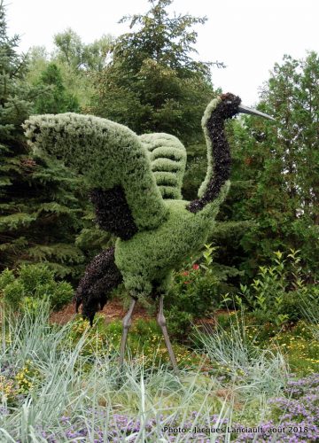 Mosaïcultures Gatineau 2018, Gatineau, Québec