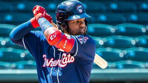 Vladimir Guerrero jr.