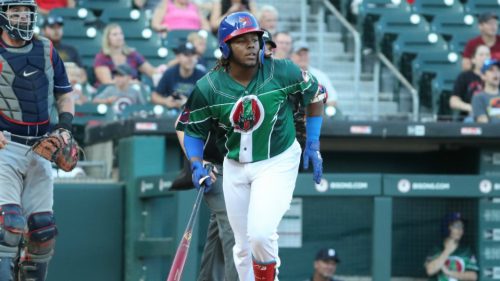 Vladimir Guerrero jr.