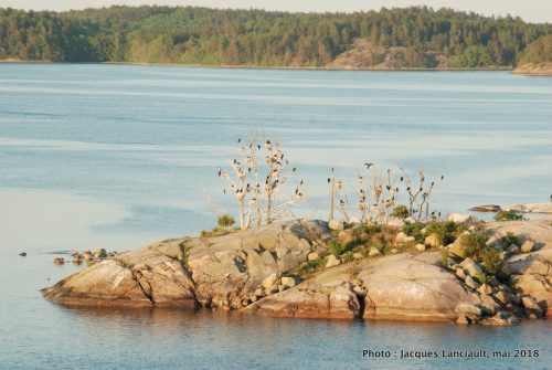 Archipel, Stockholm, Suède