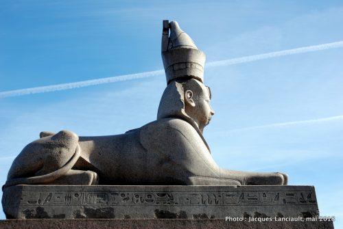 Sphinx, Saint-Pétersbourg, Russie