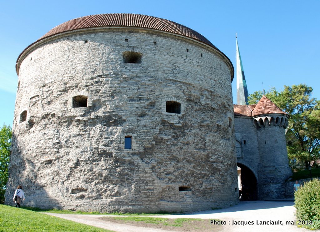 Grosse Marguerite, Tallinn, Estonie