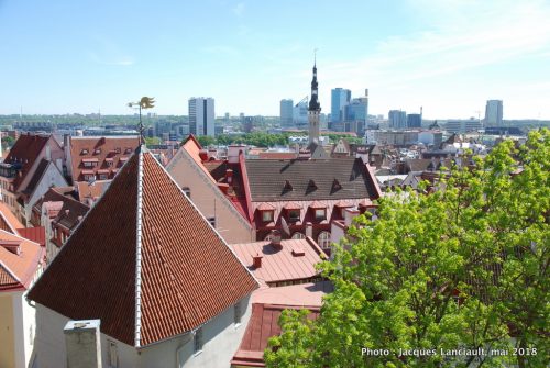 Patkuli Vaateplatvorm, Tallinn, Estonie