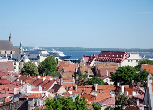 Patkuli Vaateplatvorm, Tallinn, Estonie
