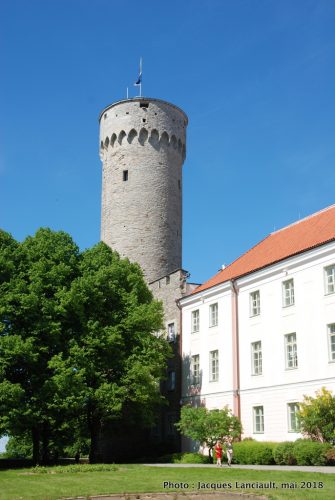 Tour Pikk Hermann, Tallinn, Estonie