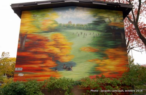 Saisons montréalaises - Rush of Fall, David Guinn et Phillip Adams, Montréal, Québec