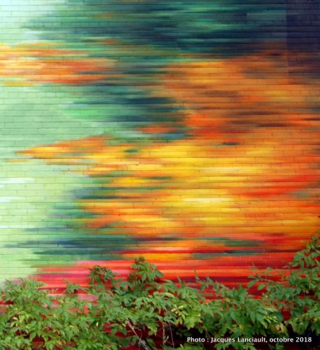 Saisons montréalaises - Rush of Fall, David Guinn et Phillip Adams, Montréal, Québec
