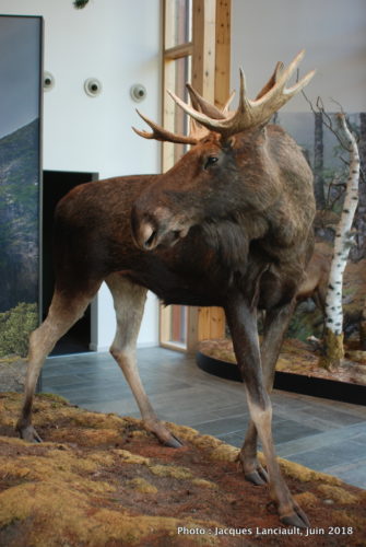 Norsk natursenter Hardanger, Eidfjord, Norvège
